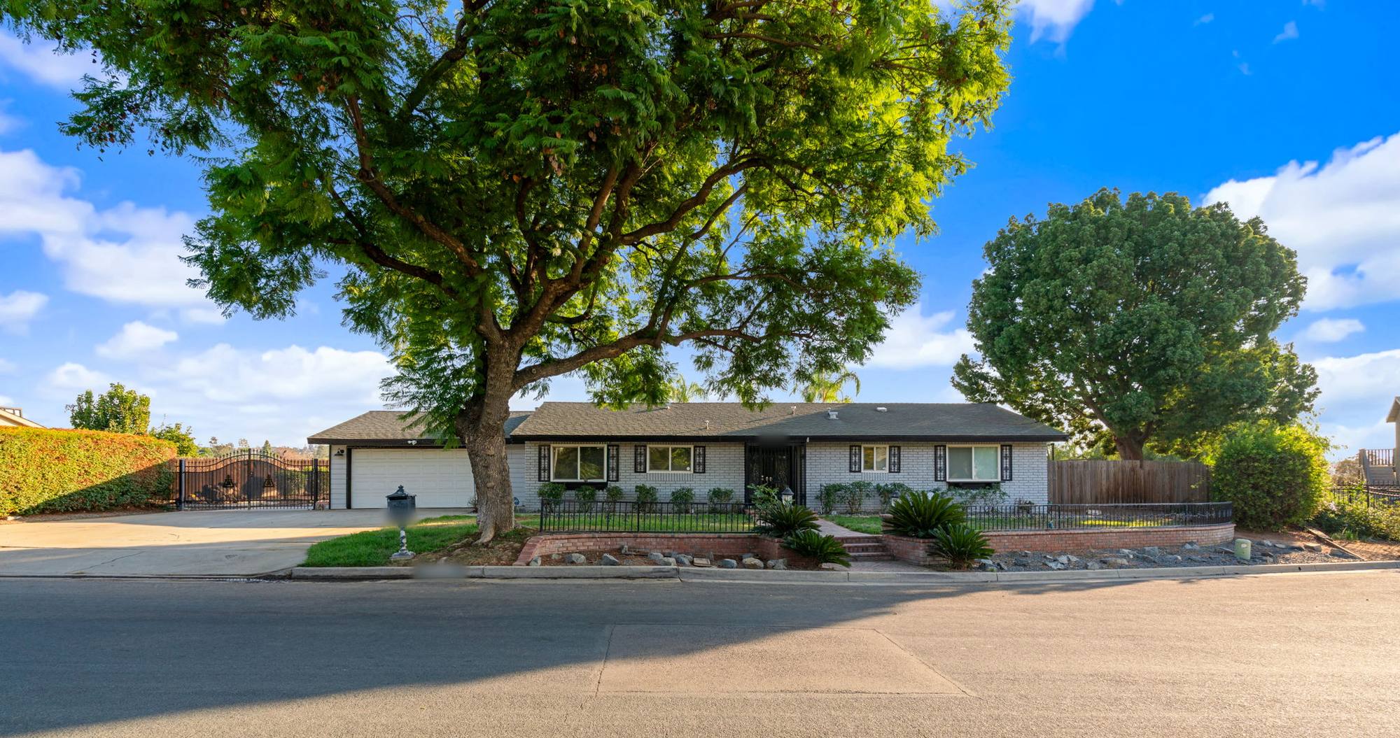 Single-story home with a large shade tree and a wrought-iron fence